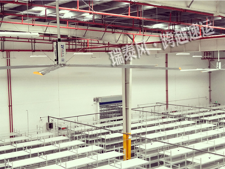 瑞泰風(fēng)大直徑工業(yè)吊扇安裝案例 瑞泰風(fēng)大直徑工業(yè)吊扇安裝案例