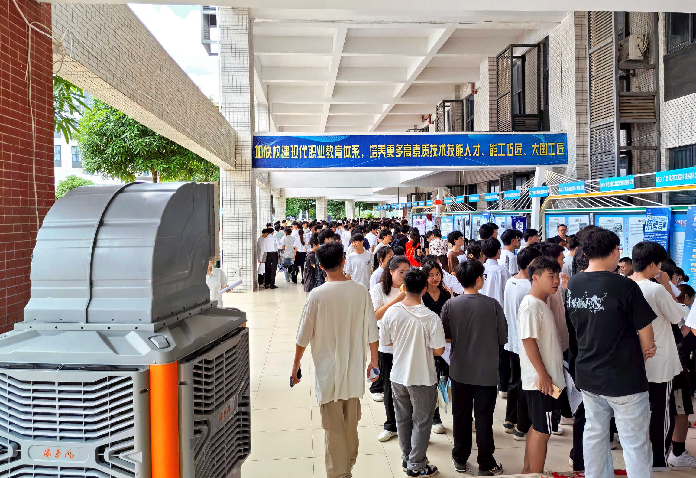 桐花萬(wàn)里：瑞泰風(fēng)為青春與夢(mèng)想護(hù)航